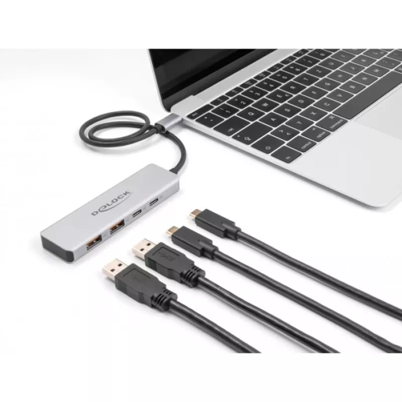 DeLOCK USB Hub USB Type-C 10 Gbps 2x Type-A 2x Type-C 35 cm cable