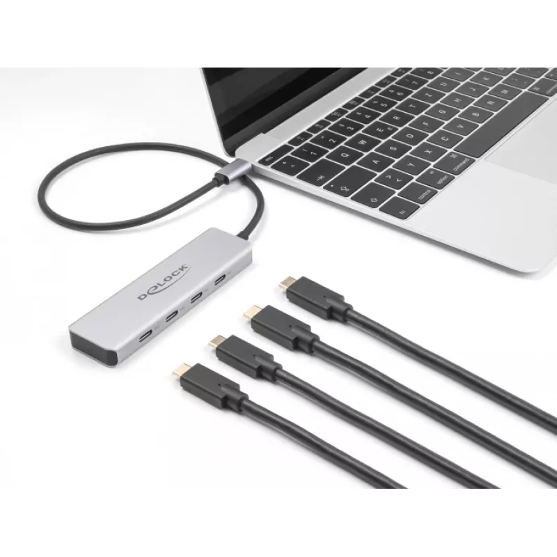 DeLOCK USB Type-C Hub 10 Gbps 4 Ports Aluminium Grey