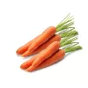 Seed tape Apte Marchew LENKA 6 m — carrot seed strip for sowing