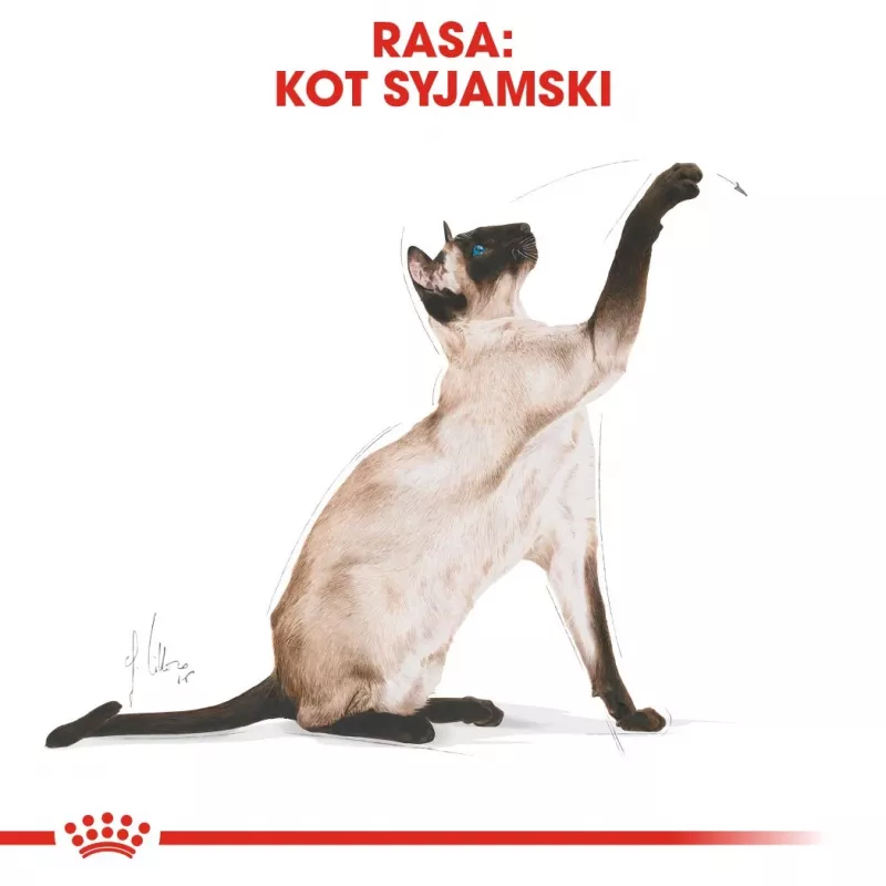 Royal Canin Siamese Adult Dry Cat Food 2 kg