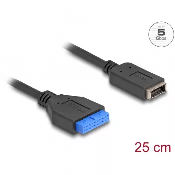 DeLOCK USB Cable Pin Header female to internal USB Type-E Key A 25 cm