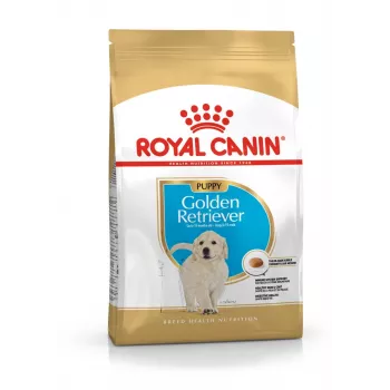 Dry dog food Royal Canin Golden Retriever Junior 12 kg — poultry, 29% protein, 16% fat