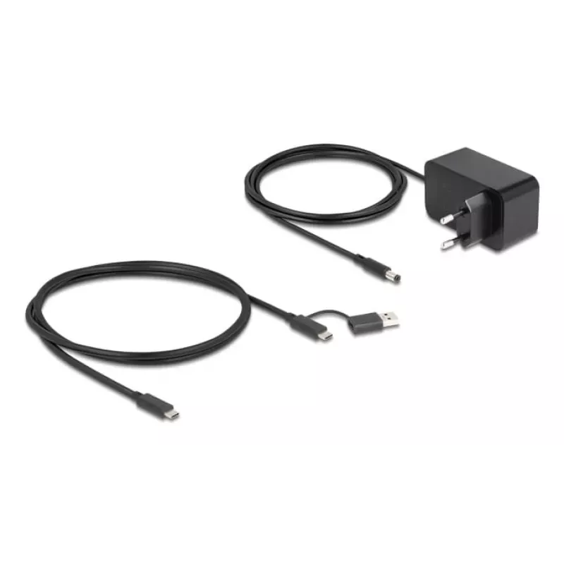 DeLOCK 64326 interface hub USB 3.2 Gen 2 (3.1 Gen 2) Type-C 10000 Mbit/s Black