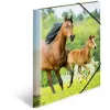 Folder HERMA 7140 Polypropylene (PP) Multicolour A4