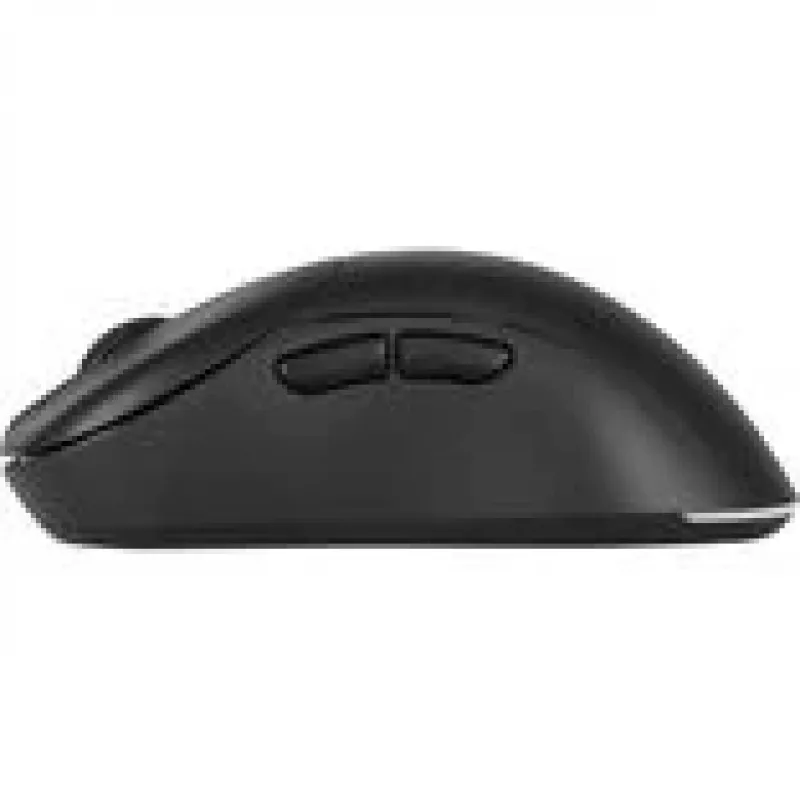 Gaming mouse GAMIAC PA50 Right-hand USB Type-C Optical 12400 DPI, 6 buttons, wheel, 30G