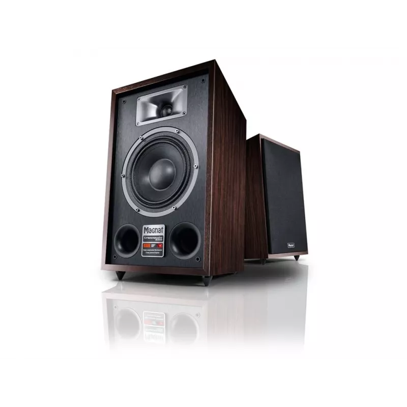 Floorstanding speaker Magnat TRANSPULS 800A 2-way wired & wireless 2×60 W, Bluetooth 5.0, HDMI, Black/Brown