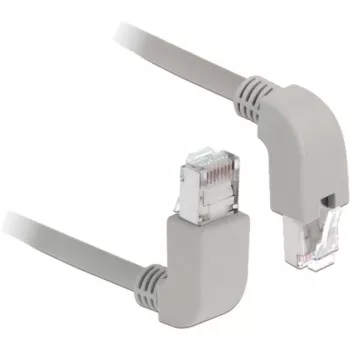 Networking Cable DeLOCK 85871 Cat6a S/FTP 1m Grey