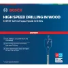 Bosch Expert 2 608 900 349 drill bit Spade drill bit 1 pc(s)