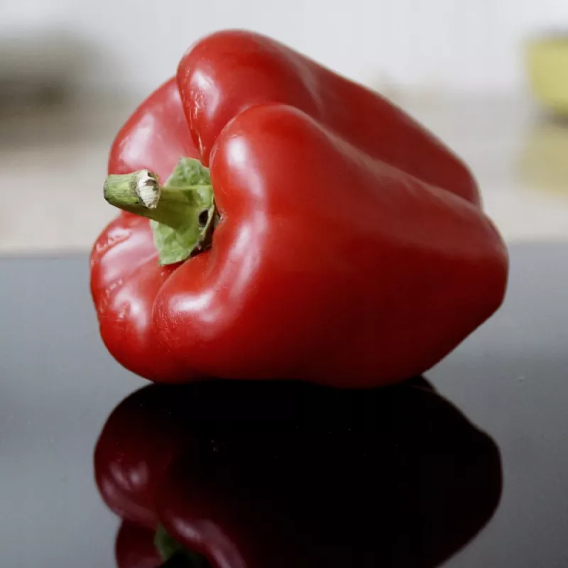 Seed packet Seklos LT Paprika Jolanta 0.5 g – sweet pepper seeds for cultivation