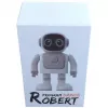 Bluetooth speaker ALLNET Robert with app control — model Robert