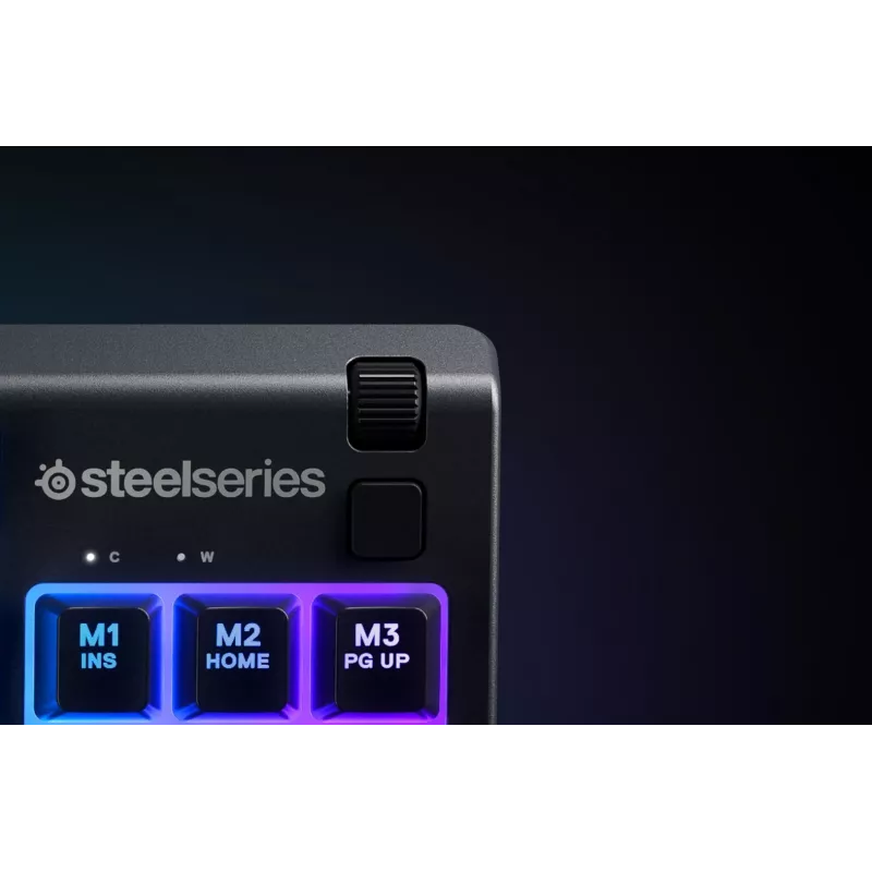 Steelseries APEX 3 TKL keyboard USB QWERTY US English Black