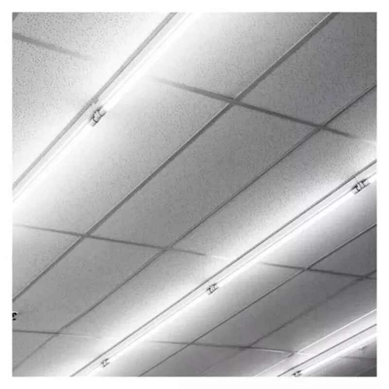 LED light bulb OEM 1002278718, 18 W, 1600 lm