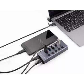 USB Hub Delock 64248 5 Gbps 2 x Type-A 2 x Type-C 1 Fast Charge Port