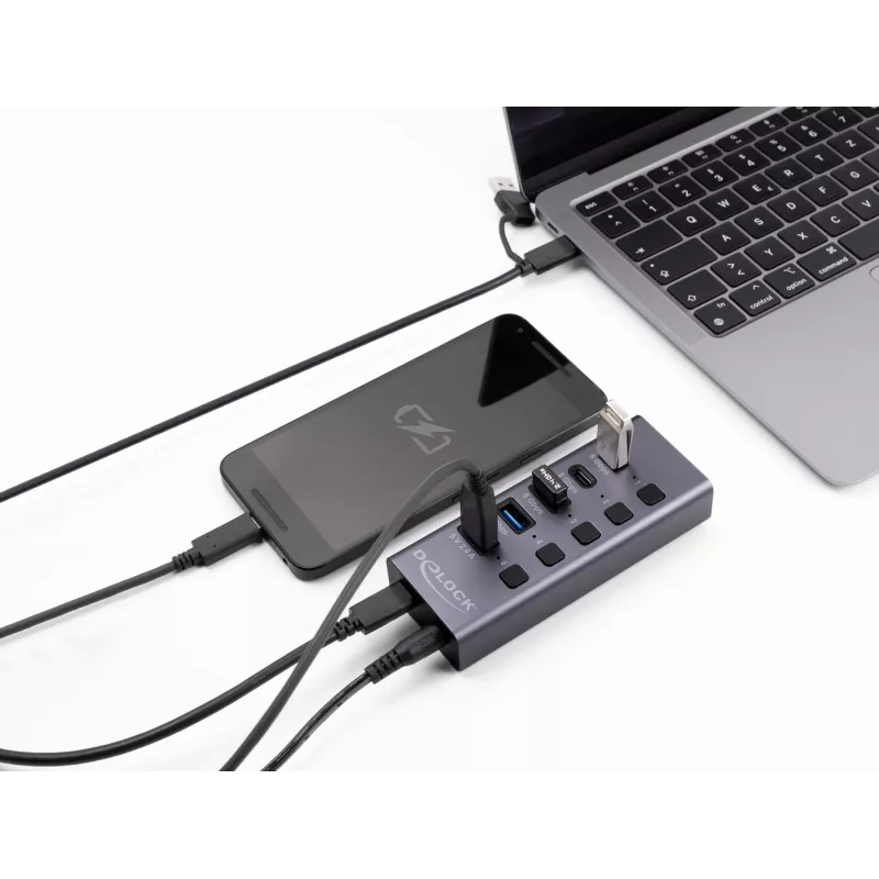 USB Hub Delock 64248 5 Gbps 2 x Type-A 2 x Type-C 1 Fast Charge Port