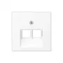 Wall plate / switch cover Jung A569-2BFPLUAWWM white matte, 1 pc