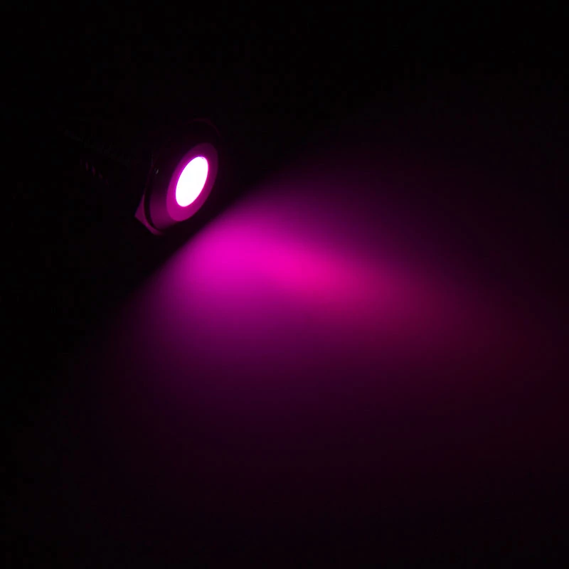 Lamptron Vandal-Proof LED, Violet, Black Socket (LAMP-SW2005-H)