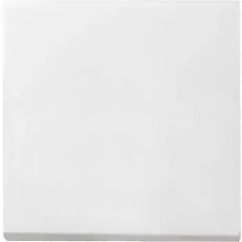 Gira 029627 Networking Device
