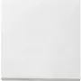 Gira 029627 Networking Device