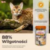 INABA Churu Varieties Chicken - cat treats - 50 x 14g