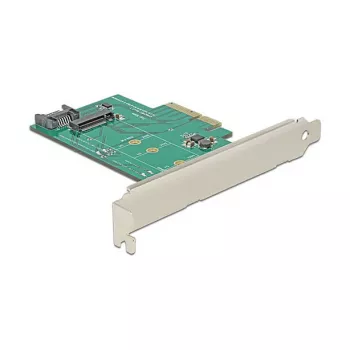 Interface Card DeLOCK 89381 Internal M.2 SATA