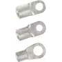 LappKabel Ring Cable Lug Cross-Section (max.)=1.5 mm² Hole Diameter=4.3 mm Uninsulated Metal 63204045 100 pc(s) (63204045)