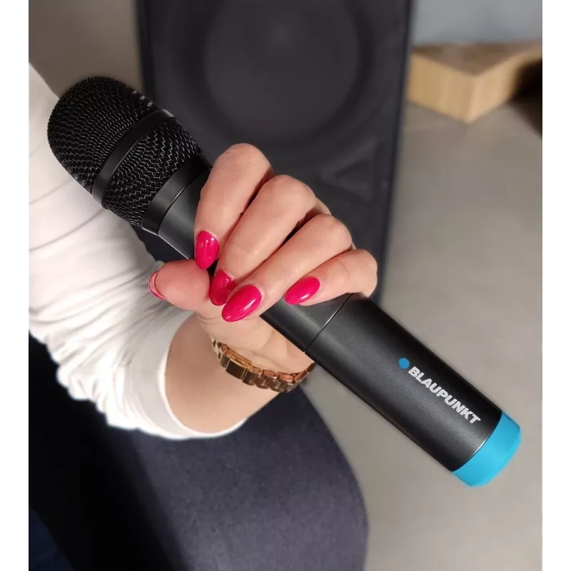 Microphone Blaupunkt WM60UDB