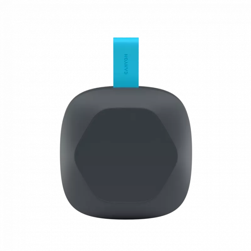 Canyon Hexagon 10 - Bluetooth 5.3 speaker - USB-C - Card Reader - IPX5 - blue-grey