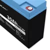 Rechargeable LiFePO4 Battery QOLTEC 12.8V 30Ah 384Wh with BMS