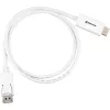DisplayPort 1.2 adapter cable Sharkoon 4K, 1 m length