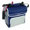 Cool box Campingaz Fold`N Cool 30 L Blue Grey