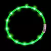 LED collar Anicoll Green for dogs and cats Model rechargeable lighting