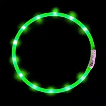 LED collar Anicoll Green for dogs and cats Model rechargeable lighting