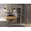 Topeshop NEL I ANT/ART bathroom storage cabinet Graphite, Oak