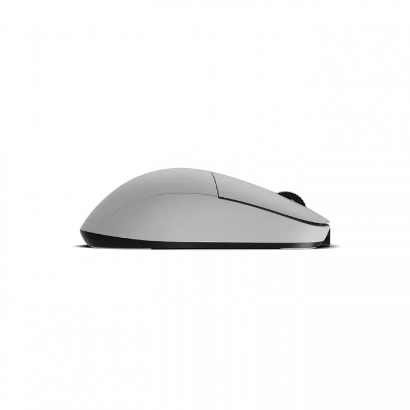 Mouse Endgame Gear XM2w 4k Wireless