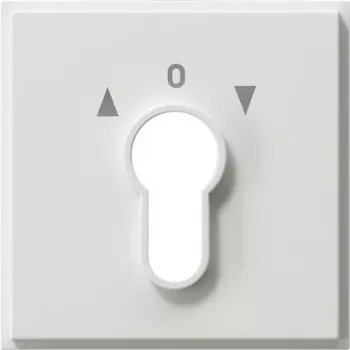 Gira 066466 Networking Device