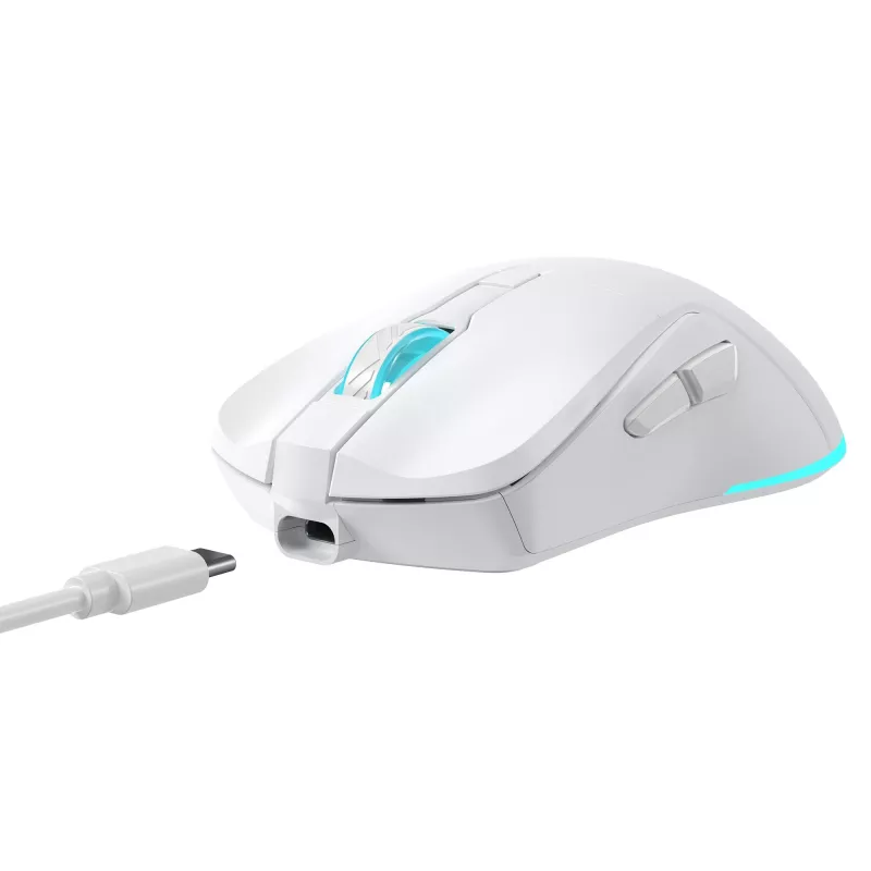 Mouse Baracuda BGM-122 Turtle White TURTLE-W