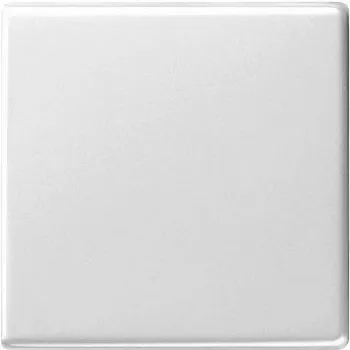 Gira 029603 Networking Device White