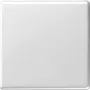 Gira 029603 Networking Device White