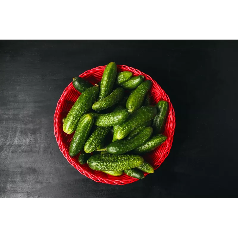 Cucumber Krak F1 Toraf Vegetable Seeds, 5g Package