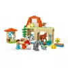 Construction toy LEGO DUPLO Farm Animal Care set 10416 — 74 pieces, 2 minifigures, age 2+