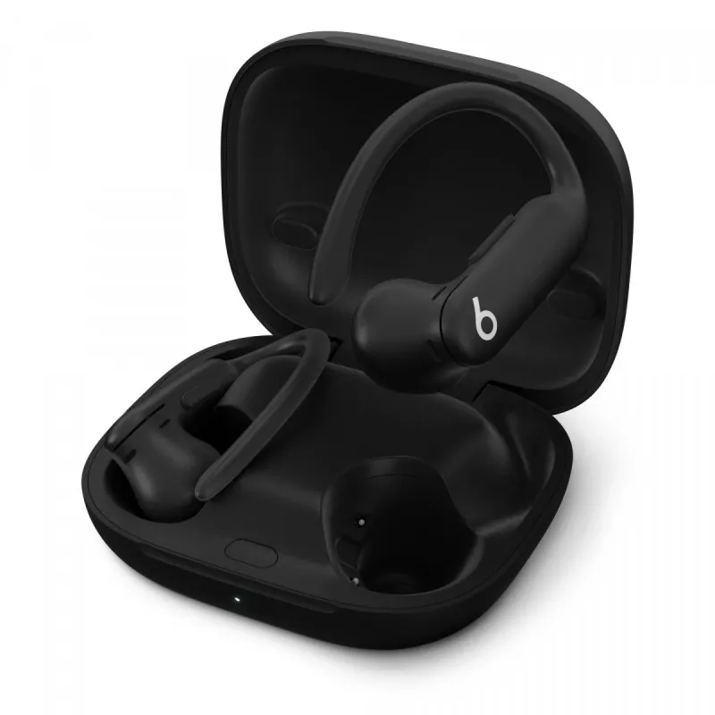 Earphones Beats Powerbeats Pro 2 Jet Black