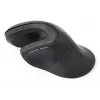 Gembird MUSW-ERGO-03 mouse Home Right-hand RF Wireless Optical 1600 DPI