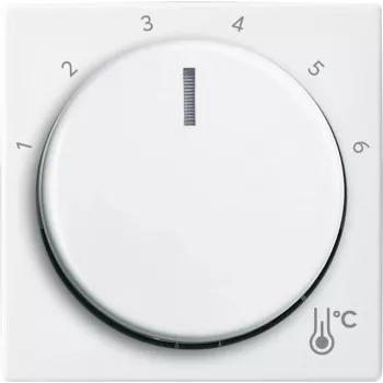 Busch-Jaeger 1794 R-914 Cover Plate for Sensor Holder & -Socket White (2CKA001710A4193)