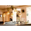 LED bulb Segula 55058 Warm white 1900 K 6 W E27