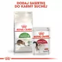 Dry cat food Royal Canin Active Life Outdoor 4 kg — Adult, Poultry, 30% Protein, 20% Fat