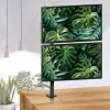 Maclean support TV 13-27 Pollici MC-966 (Table, 27), Monitor Stand, Black