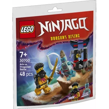 Construction toy LEGO set 30700 Arin's Battle with the Dragon Man polybag (mini set)