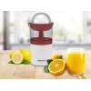 Electric kettle Beper P102EST100 1.7 L 2200 W – stainless steel heating element