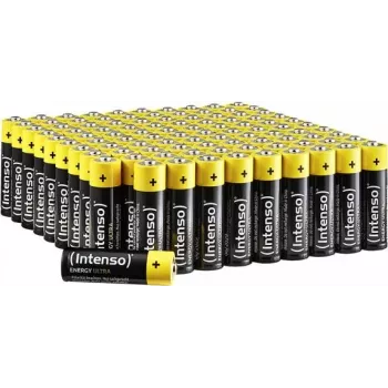 Intenso 100X AA - Alkaline Battery Mignon 100-pack - Battery (7501521)