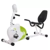 Horizontal magnetic bicycle white and green HMS R9259